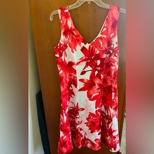 Fun spring A-line dress.  Only worn 2x.